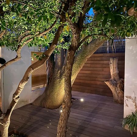 Appartement Le Jardin Caché à Sanary-sur-Mer Extérieur photo