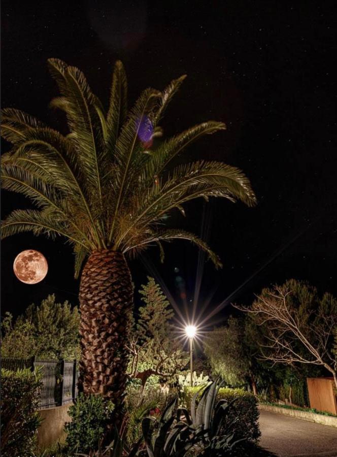 Appartement Le Jardin Caché à Sanary-sur-Mer Extérieur photo